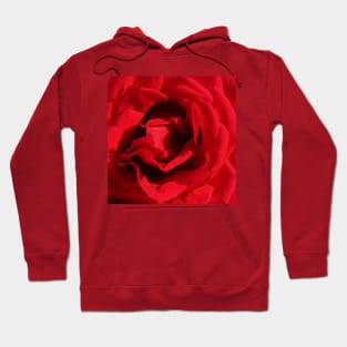 Red Rose Flower Macro Hoodie